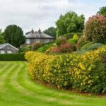 Gardens Gardens